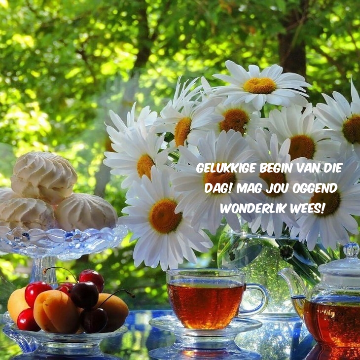 Gelukkige begin van die dag! Mag jou oggend wonderlik wees!