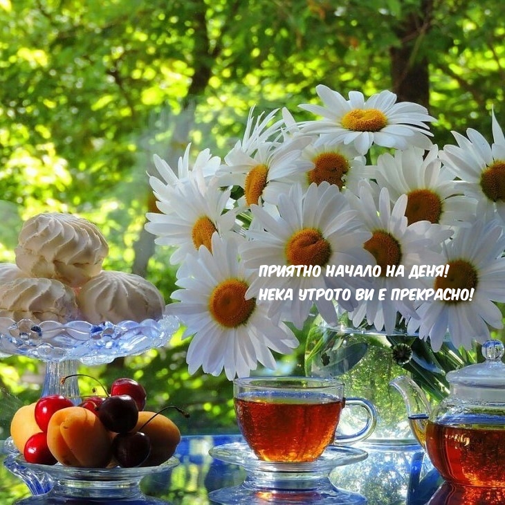 Приятно начало на деня! Нека утрото ви е прекрасно!