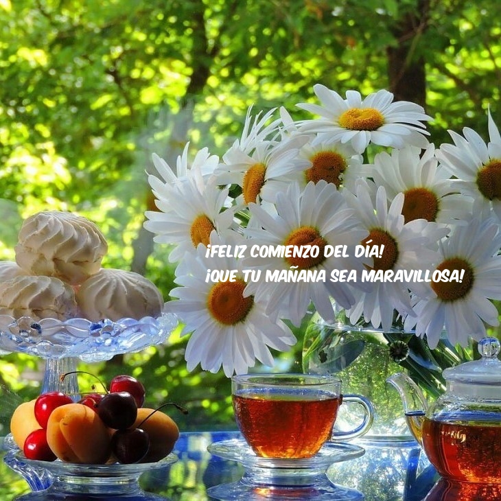 ¡Feliz comienzo del día! ¡Que tu mañana sea maravillosa!
