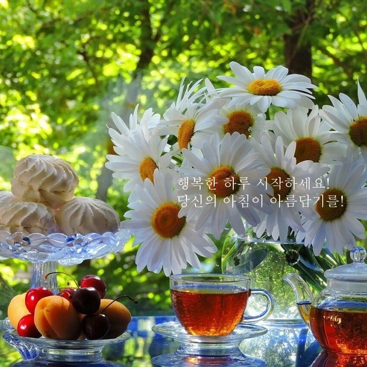 행복한 하루 시작하세요! 당신의 아침이 아름답기를!