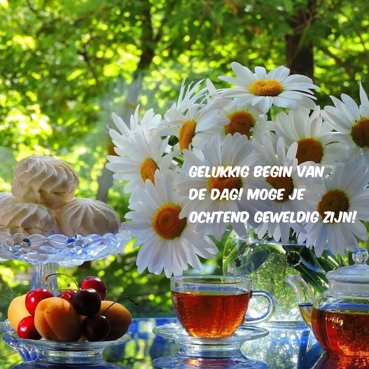 Gelukkig begin van de dag! Moge je ochtend geweldig zijn!