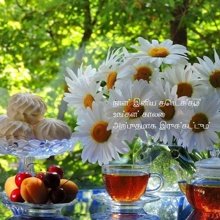 நாள் இனிய தொடக்கம்! உங்கள் காலை