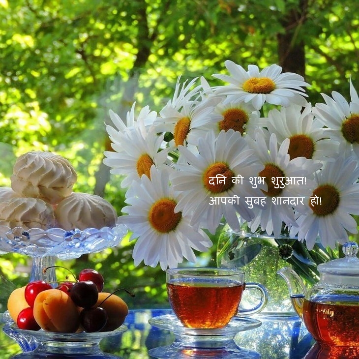 दिन की शुभ शुरुआत! आपकी सुबह शानदार हो!