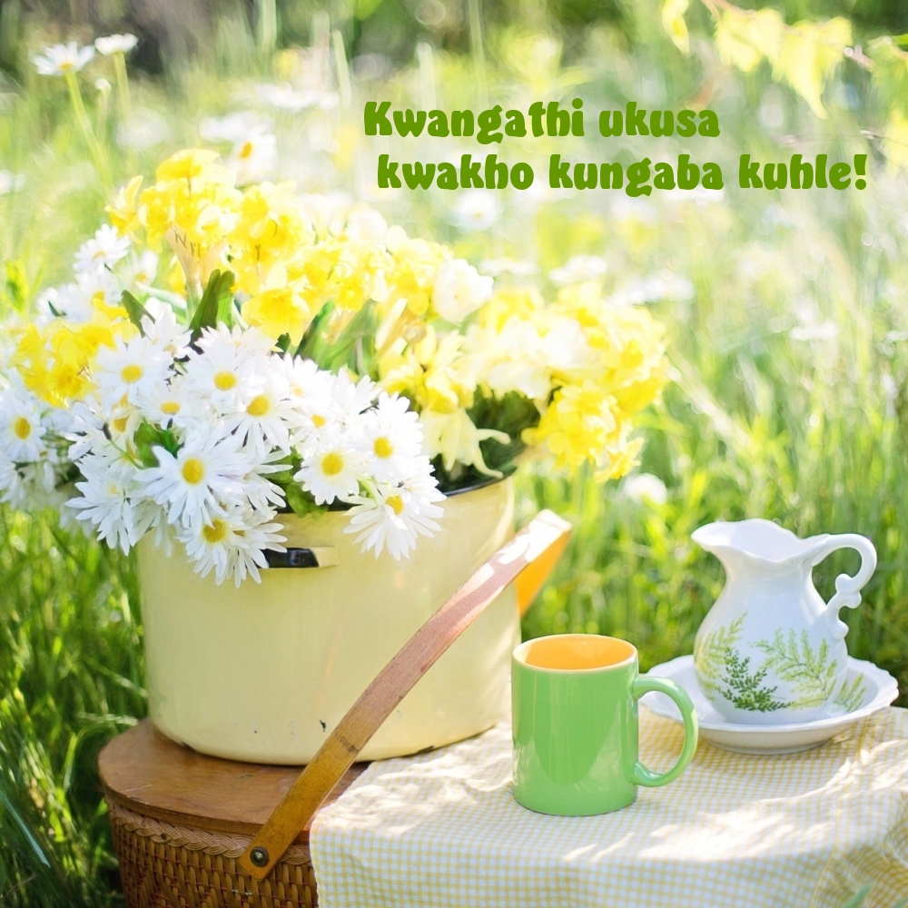 Kwangathi ukusa kwakho kungaba kuhle!