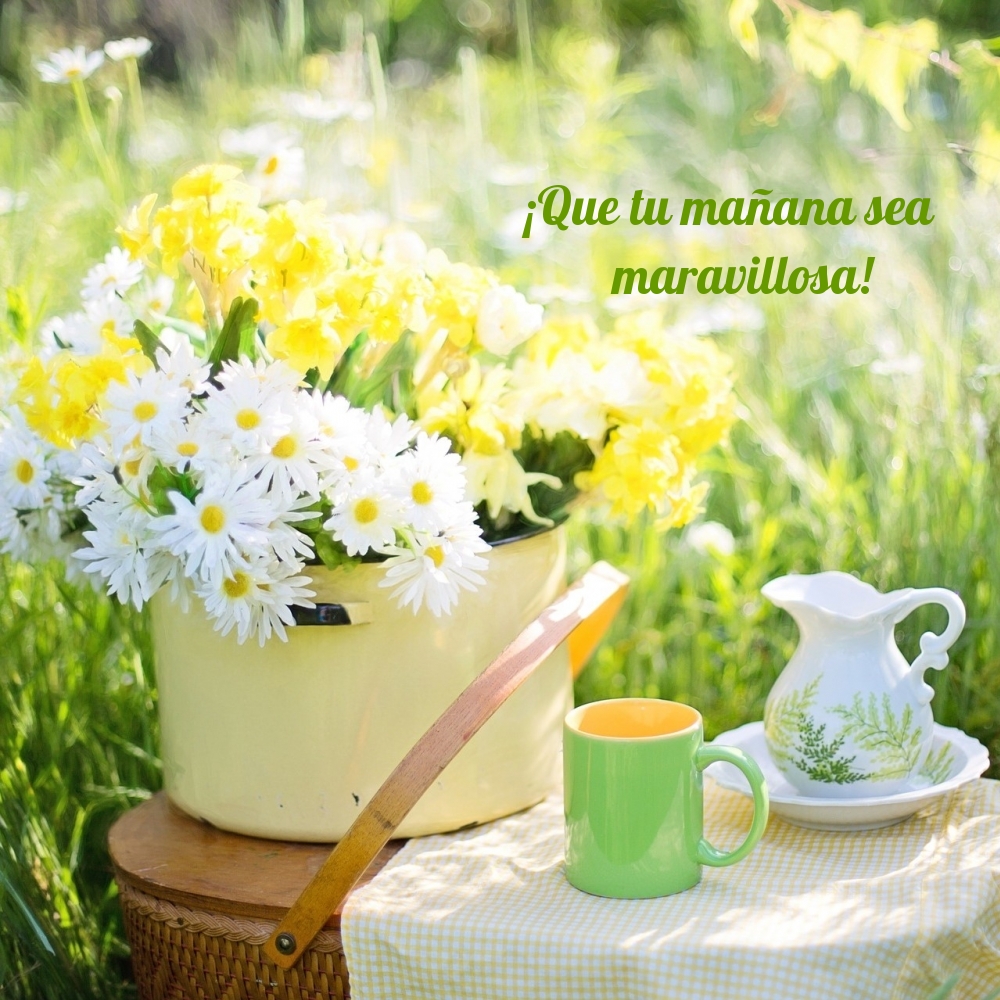 ¡Que tu mañana sea maravillosa!