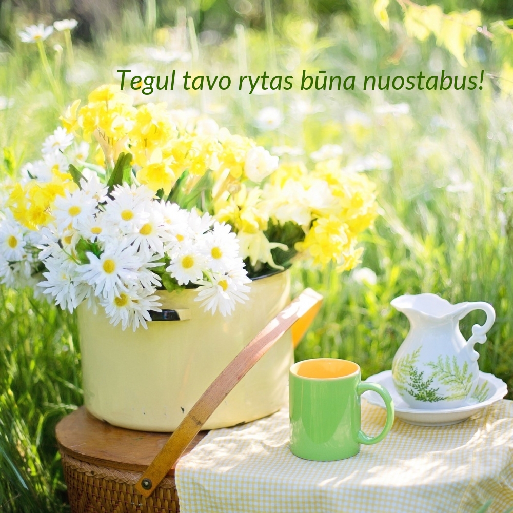 Tegul tavo rytas būna nuostabus!