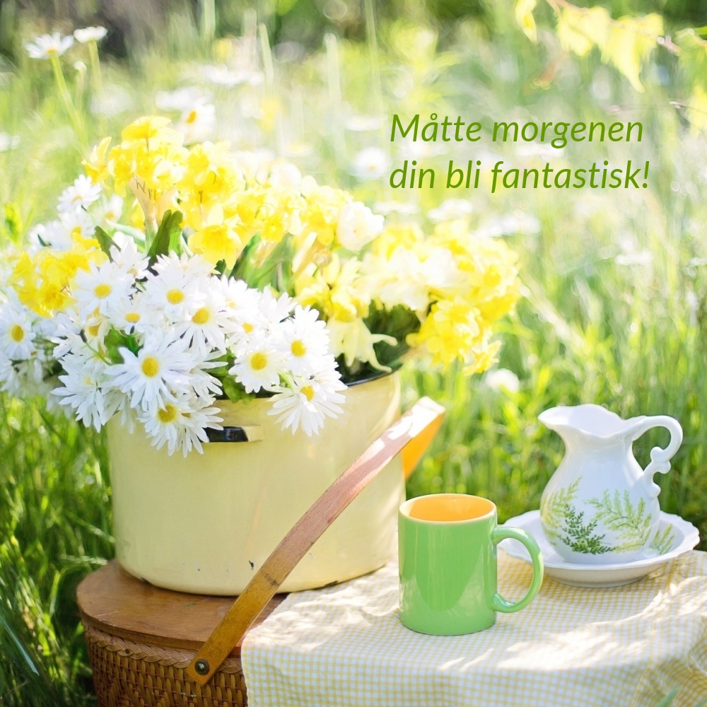 Måtte morgenen din bli fantastisk!