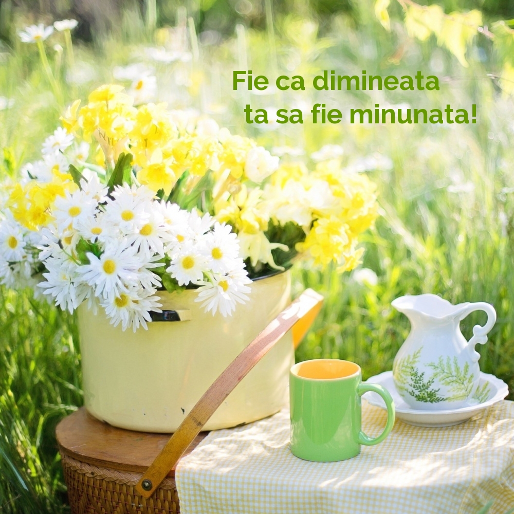 Fie ca dimineata ta sa fie minunata!