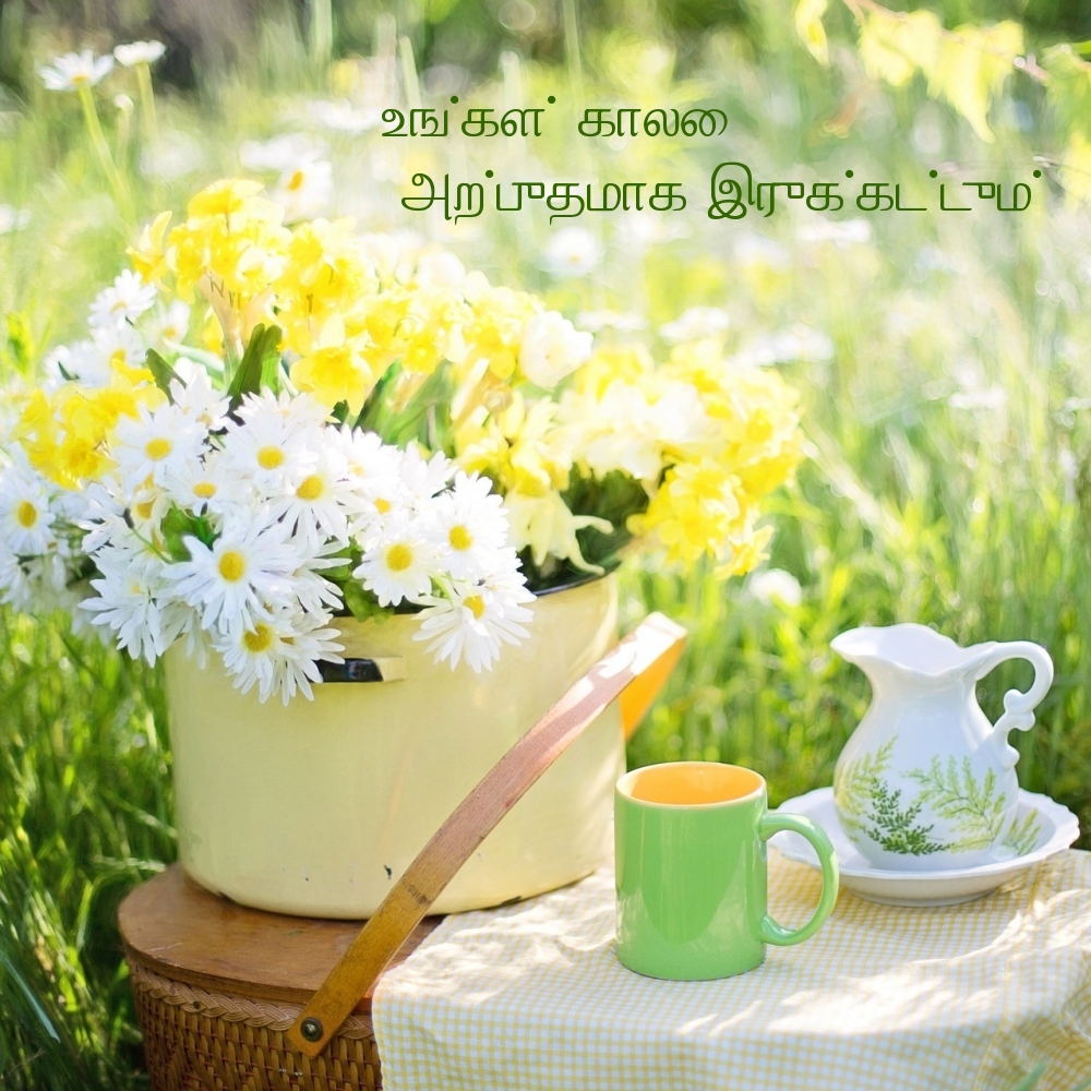 உங்கள் காலை அற்புதமாக இருக்கட்டும்!