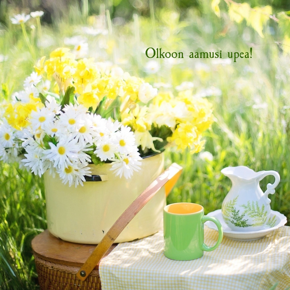 Olkoon aamusi upea!