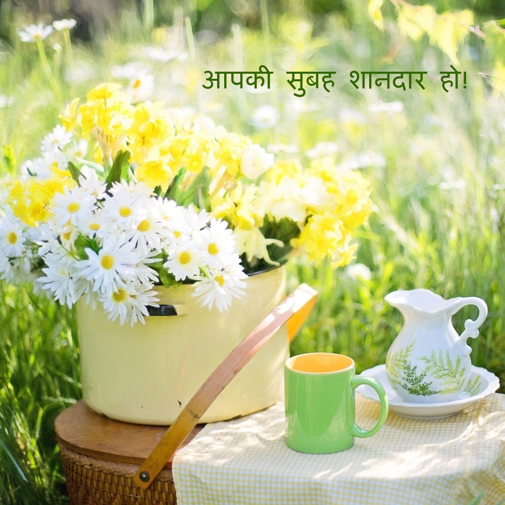 आपकी सुबह शानदार हो!