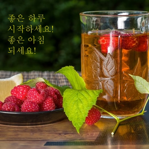 좋은 하루 시작하세요! 좋은 아침 되세요!