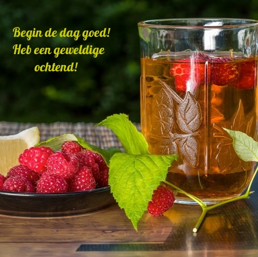 Begin de dag goed! Heb een geweldige ochtend!