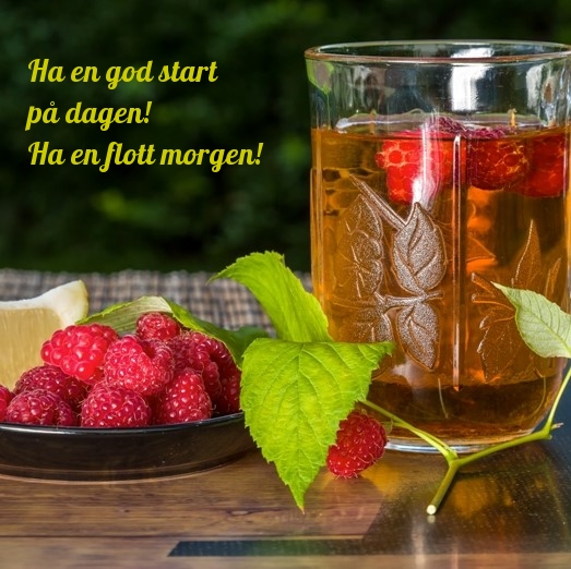 Ha en god start på dagen! Ha en flott morgen!