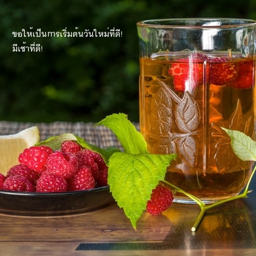 ขอให้เป็นการเริ่มต้นวันใหม่ที่ดี! มีเช้าที่ดี!