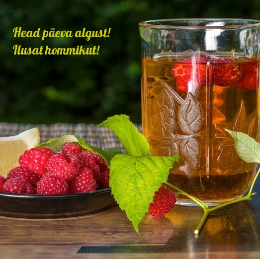 Head päeva algust! Ilusat hommikut!