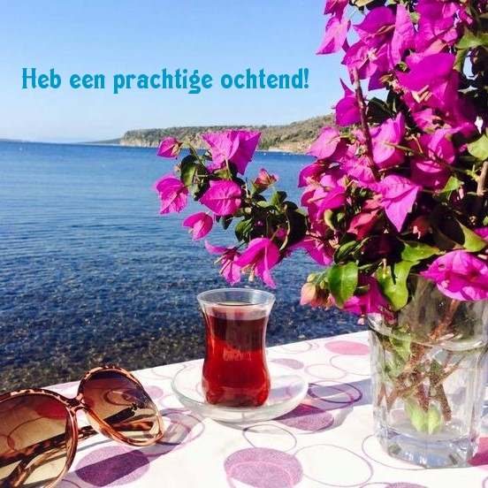 Heb een prachtige ochtend!