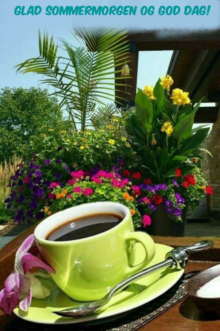 Glad sommermorgen og god dag!