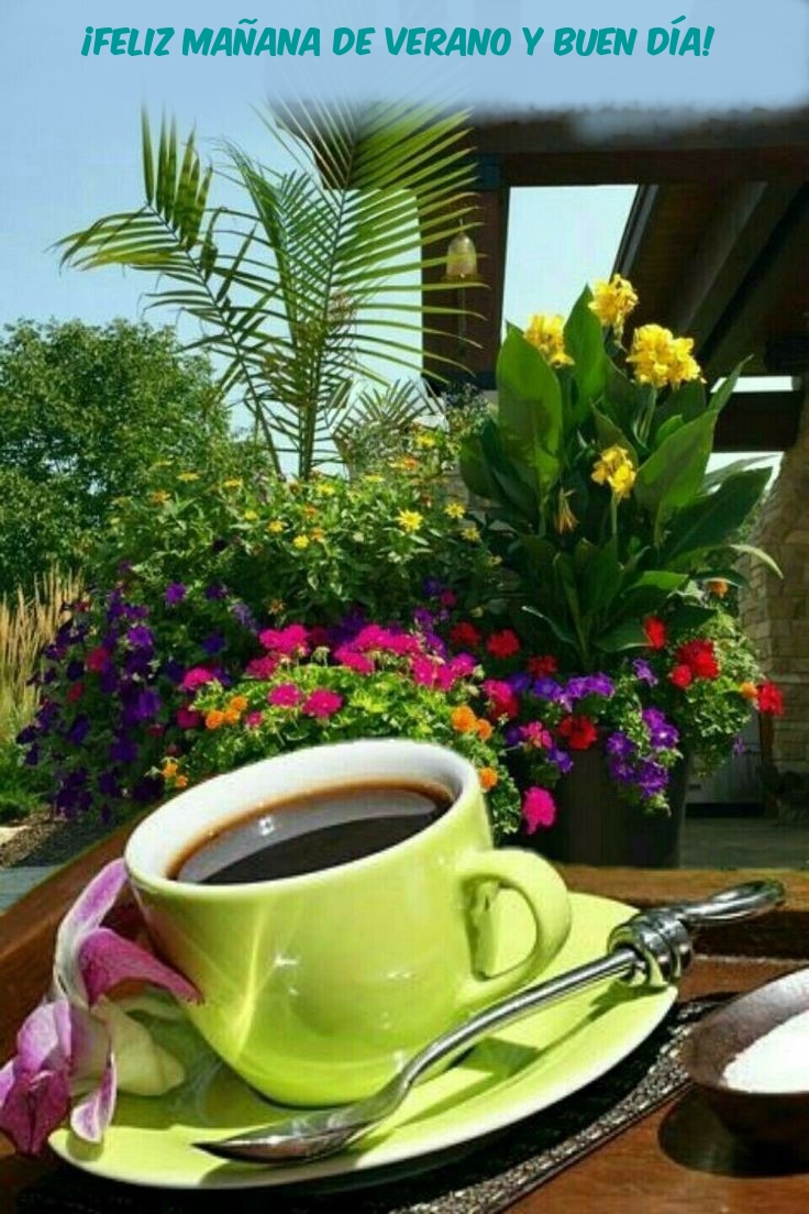 ¡Feliz mañana de verano y buen día!