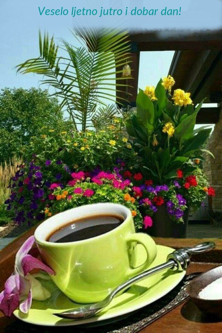 Veselo ljetno jutro i dobar dan!