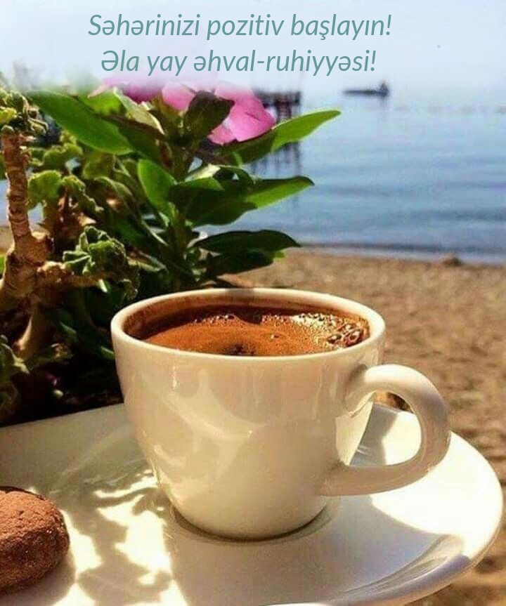 Səhərinizi pozitiv başlayın! Əla yay əhval-ruhiyyəsi!