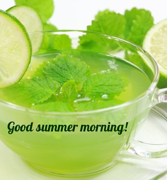 Good summer morning!