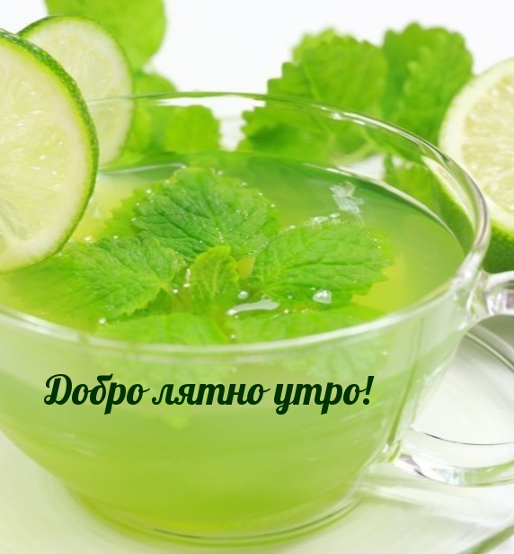 Добро лятно утро!