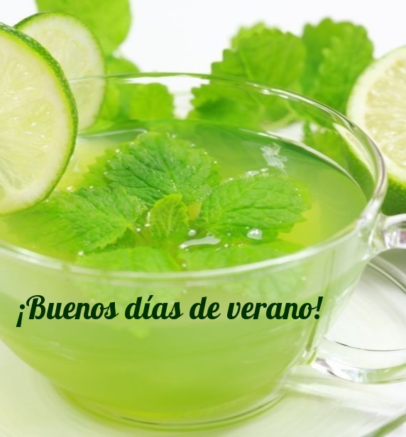 ¡Buenos días de verano!