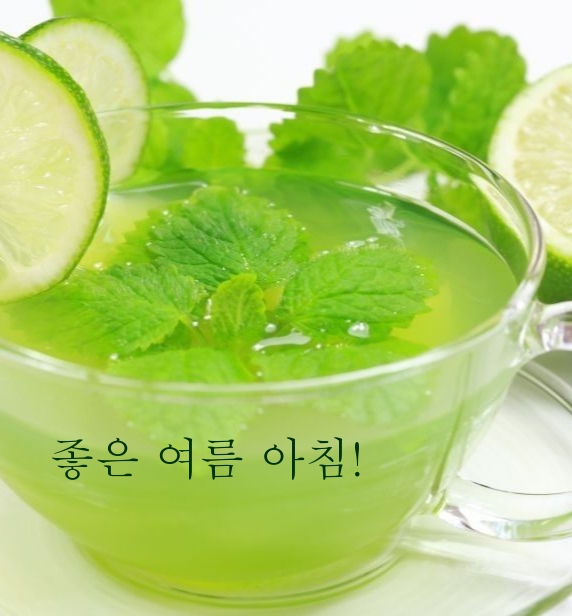 좋은 여름 아침!