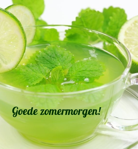 Goede zomermorgen!