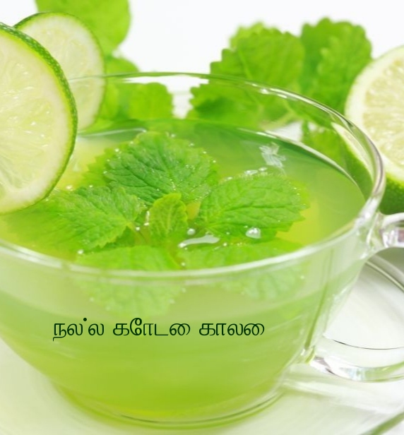 நல்ல கோடை காலை!