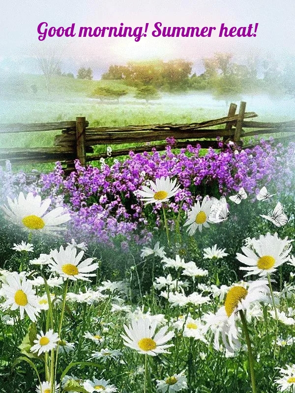 Good morning! Summer heat!