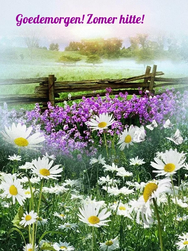 Goedemorgen! Zomer hitte!