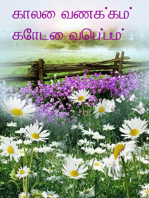 காலை வணக்கம்! கோடை வெப்பம்!