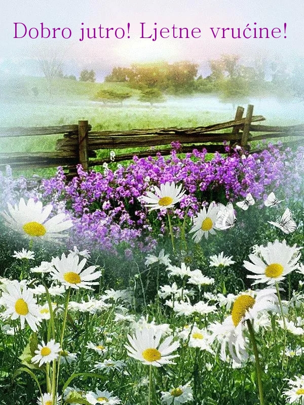 Dobro jutro! Ljetne vrućine!