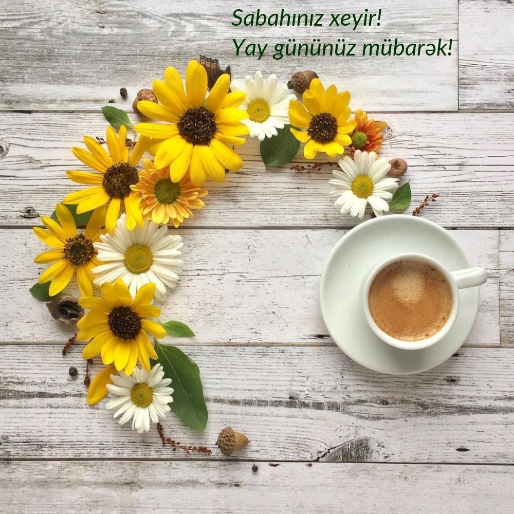 Sabahınız xeyir! Yay gününüz mübarək!