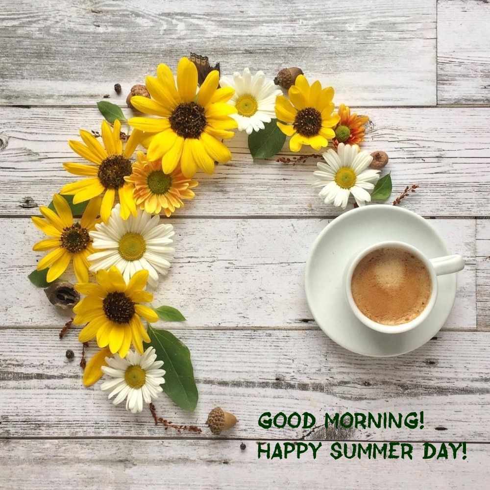 Good morning! Happy summer day!
