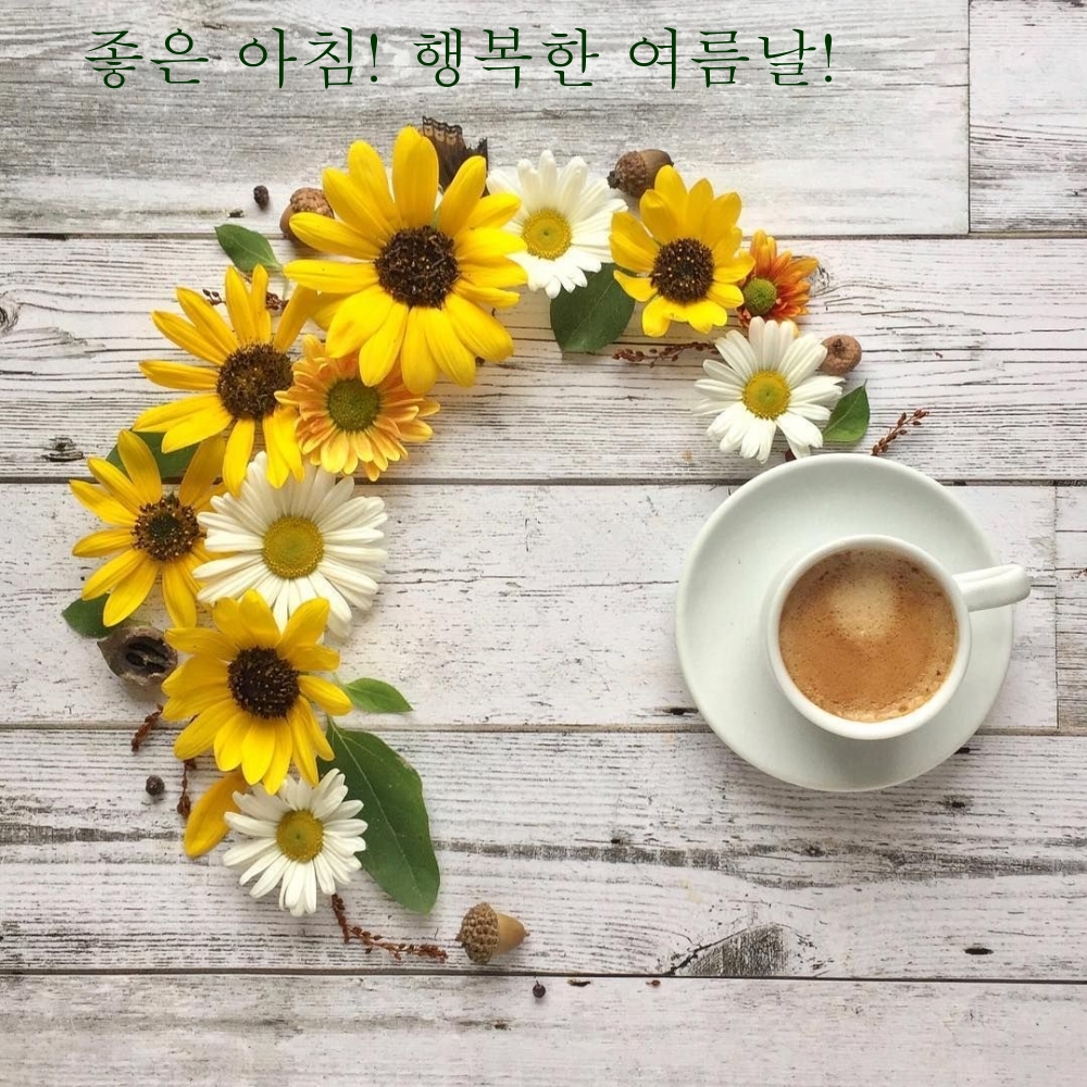 좋은 아침! 행복한 여름날!
