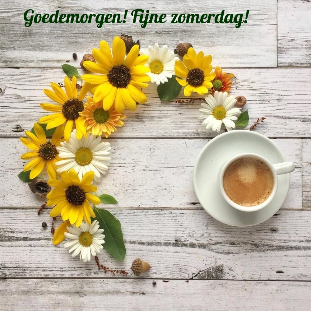 Goedemorgen! Fijne zomerdag!