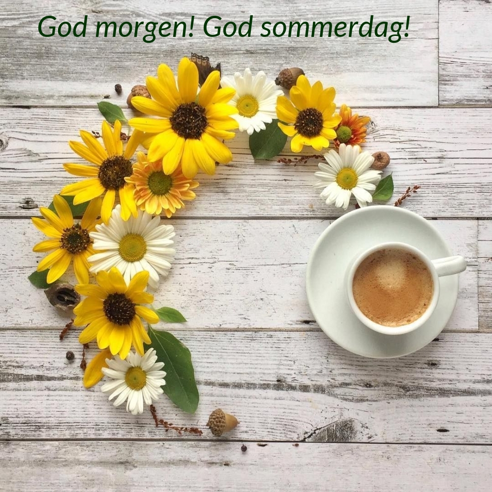 God morgen! God sommerdag!