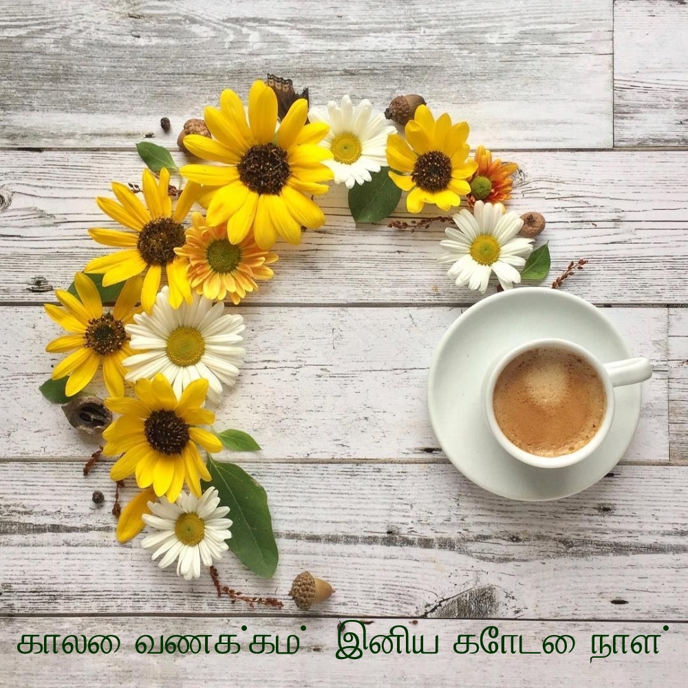 காலை வணக்கம்! இனிய கோடை நாள்!