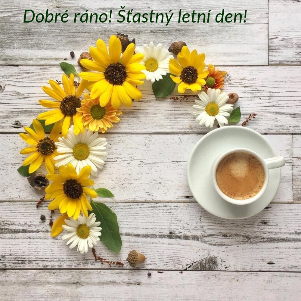 Dobré ráno! Šťastný letní den!