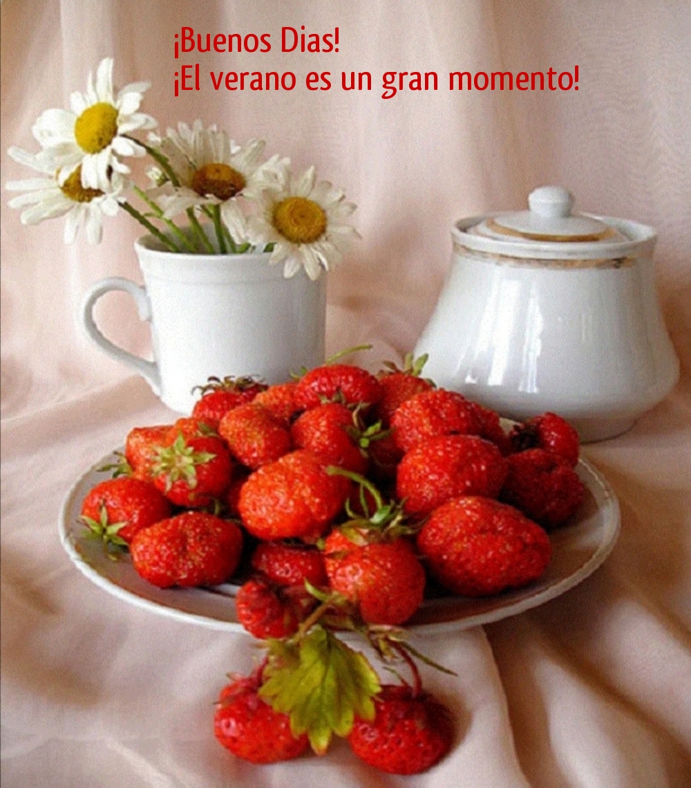 ¡Buenos Dias! ¡El verano es un gran momento!