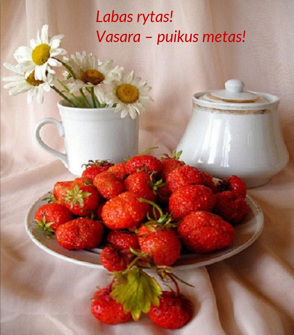 Labas rytas! Vasara – puikus metas!