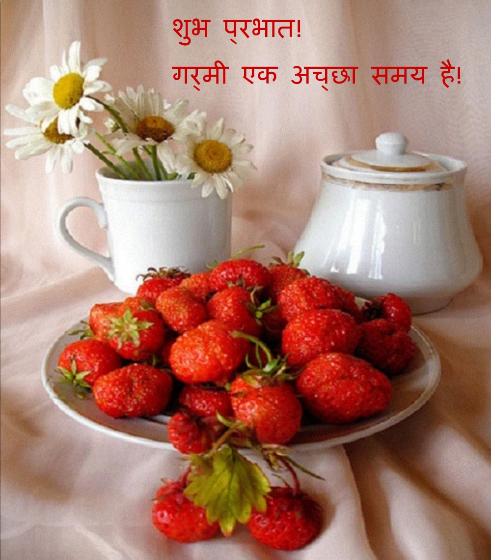 शुभ प्रभात! गर्मी एक अच्छा समय है!
