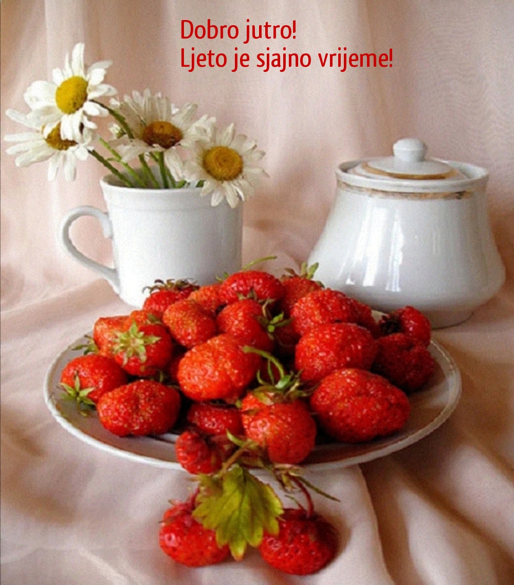 Dobro jutro! Ljeto je sjajno vrijeme!