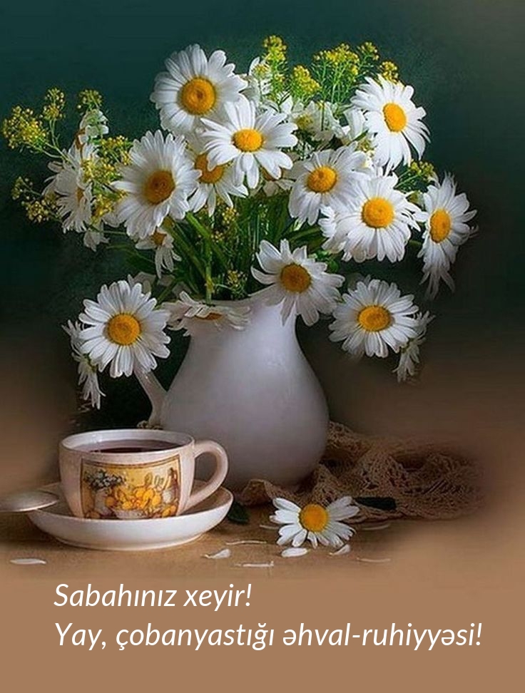 Sabahınız xeyir! Yay, çobanyastığı əhval-ruhiyyəsi!