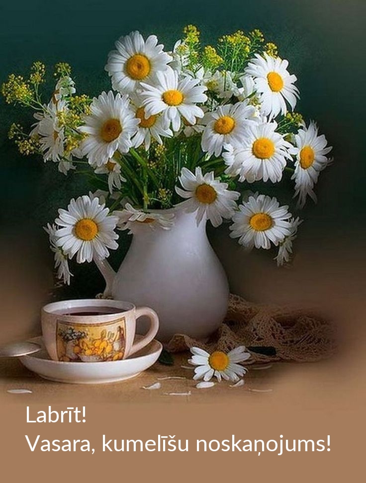 Labrīt! Vasara, kumelīšu noskaņojums!