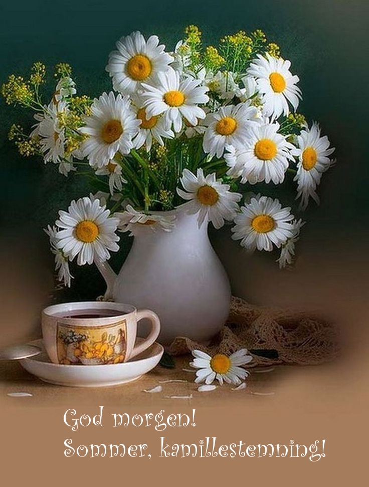 God morgen! Sommer, kamillestemning!