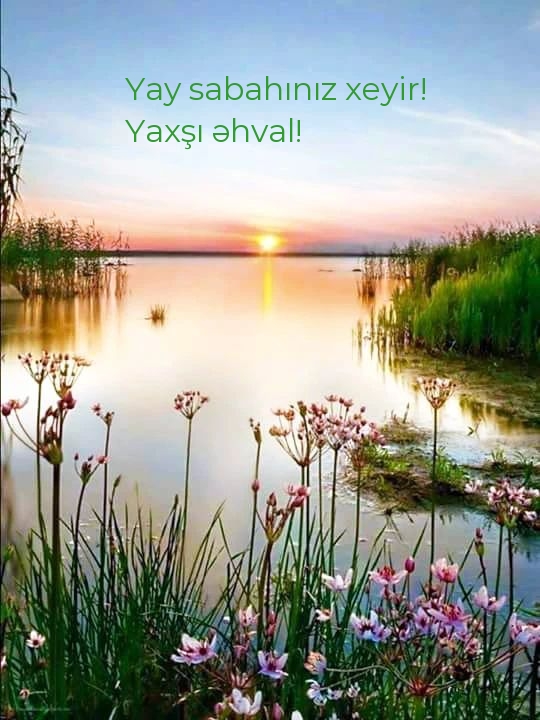 Yay sabahınız xeyir! Yaxşı əhval!